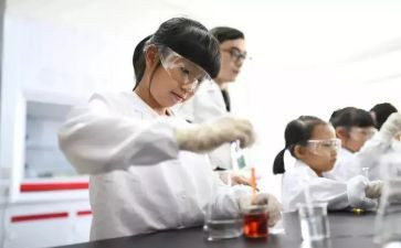 做实验的心得体会2000字8篇