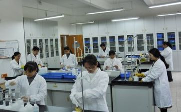 实验工作工作计划7篇
