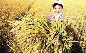 收获及心得体会5篇