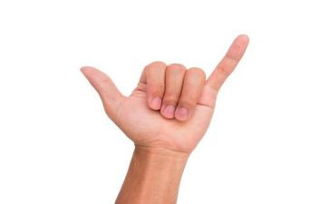语言手指操教案6篇