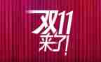 关于双11的调查报告模板6篇