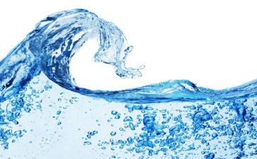 水的市场调研报告最新7篇