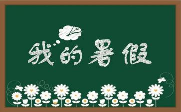 暑假活动心得体会精选5篇