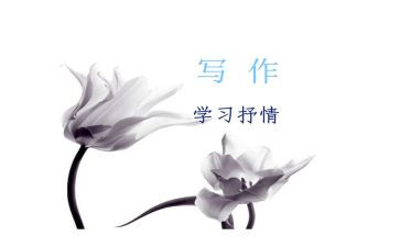 抒情作文600字初中作文优质7篇