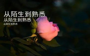 我最熟悉的人是谁作文300字8篇
