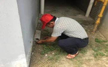 防四害工作总结模板5篇
