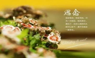 中秋思念演讲稿7篇