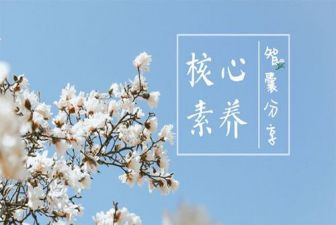 职业素养周演讲稿6篇