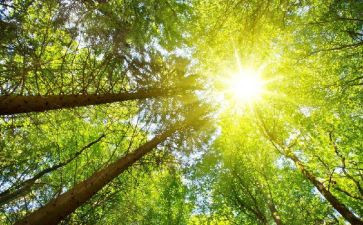 太阳说教案精选7篇