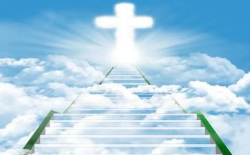 羊在天堂读后感5篇