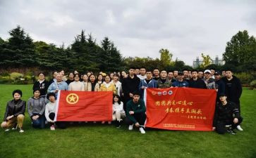 团组织活动总结优秀6篇