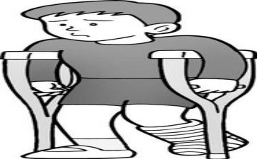 腿和轮子读后感6篇