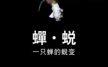 蜕变与成长作文模板6篇