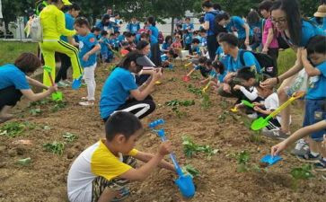 大学户外拓展心得体会范文8篇