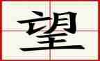 看望的作文最新5篇