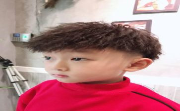 骆驼王子读后感8篇