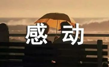 感动我的故事作文6篇