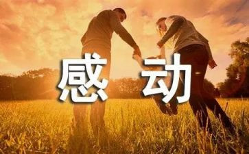 秦?飞感动中国事迹最新8篇