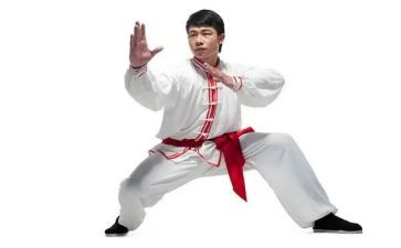 校武术协会工作计划8篇