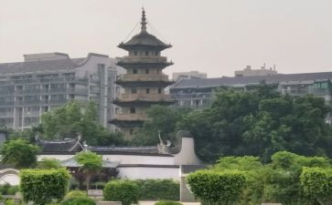 《乌塔》读后感作文7篇