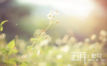中班五月工作计划8篇