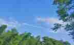 《夏天》教案通用8篇