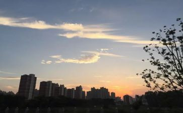 大班下班务工作计划模板7篇