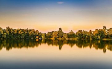 骆驼骆驼祥子读后感800字最新5篇