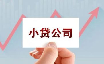小贷款公司工作计划8篇