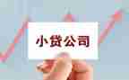 小贷款公司工作计划8篇