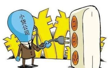 申请小额贷款申请书7篇