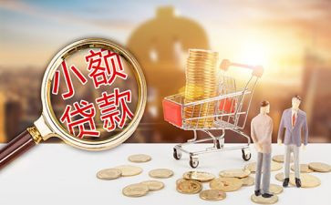 小额贷合同精选5篇