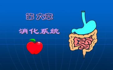 2024年消化科半年度工作总结6篇
