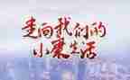 决胜小康社会心得体会优秀5篇