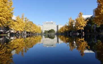 学校内网申请书优秀7篇