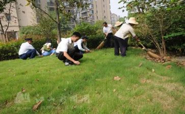小区保洁的工作总结5篇