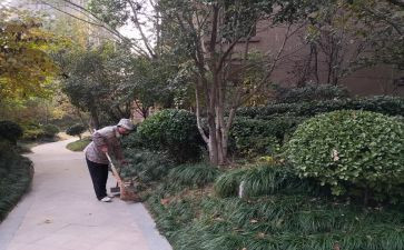 物业小区保洁年终总结5篇