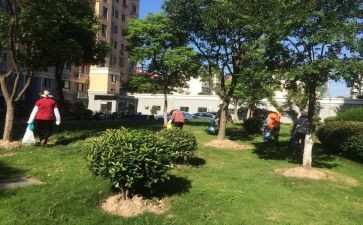 2024小区物业工作计划通用6篇