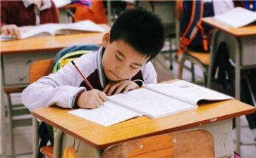 小学作业调查报告8篇