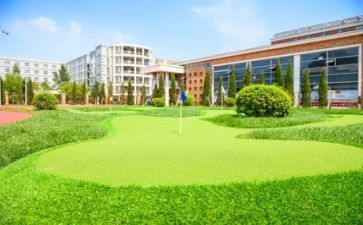 对校园生活调查报告7篇