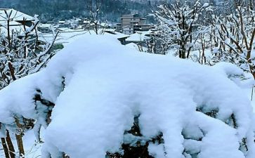下雪作文100字6篇