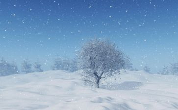 下雪作文800字5篇