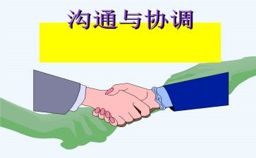 青协调研报告最新7篇