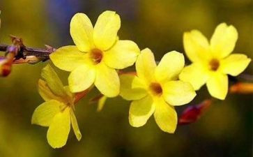 400字写物作文参考6篇