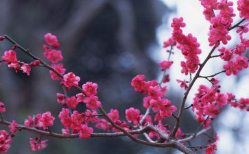 400字写物作文精选8篇