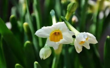 400字写物作文模板6篇