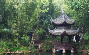 400字写物作文7篇