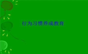 95后行为调研报告8篇