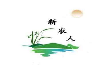 新农村购房合同5篇