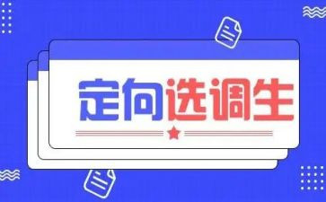 选调生个人总结7篇